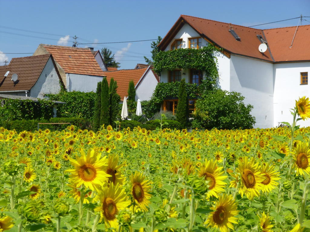 Landhotel Kallstadt Exteriör bild