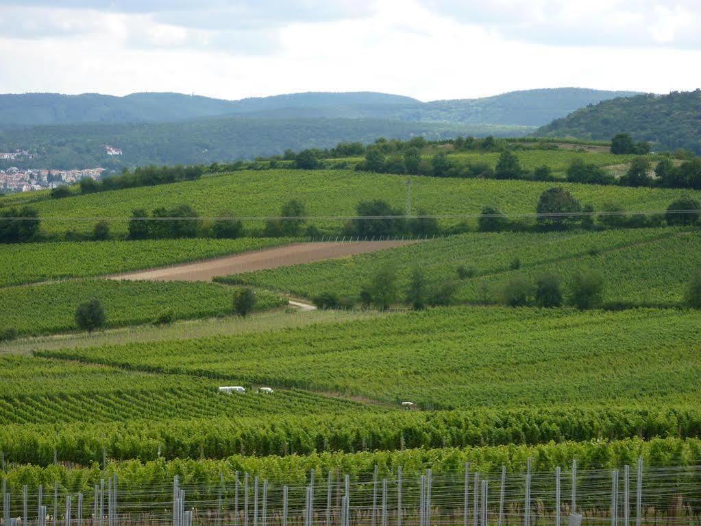 Landhotel Kallstadt Exteriör bild